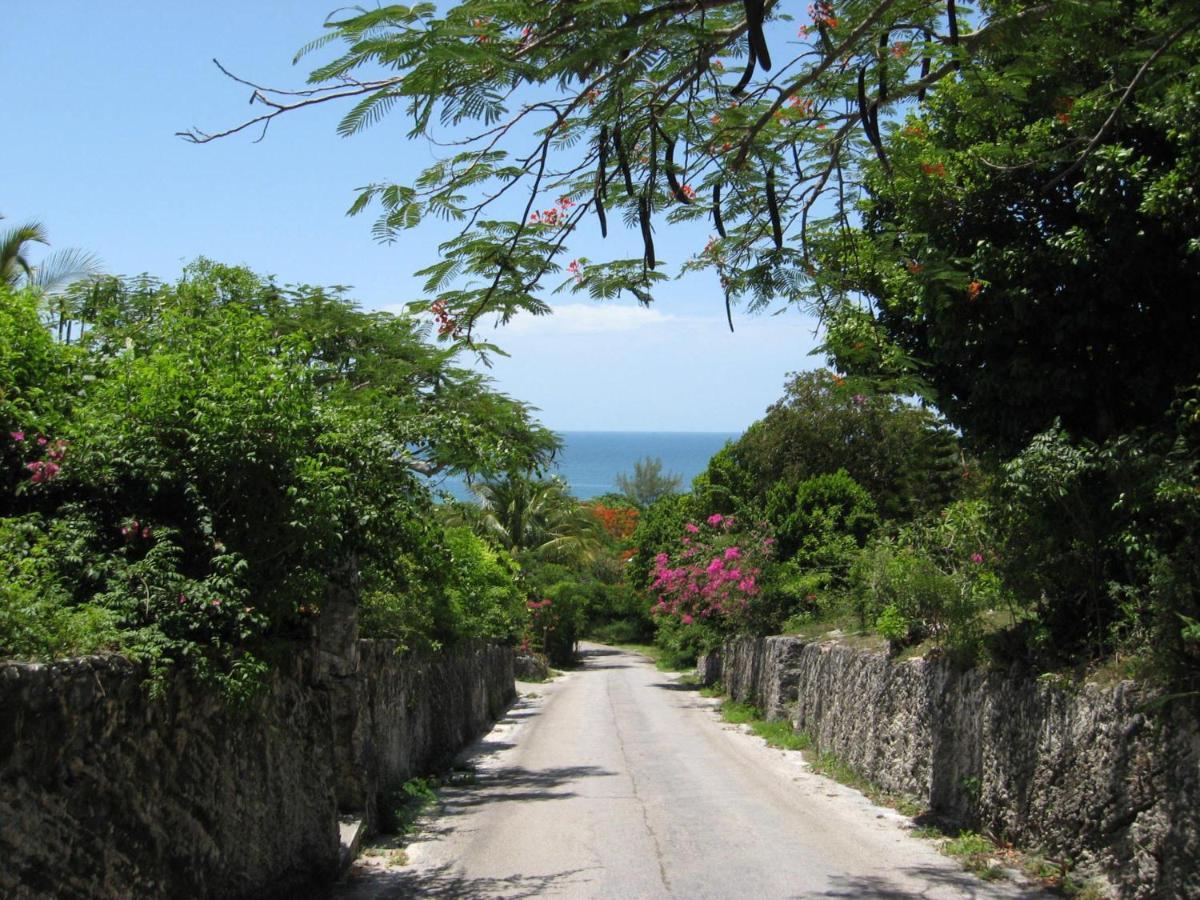 Blue Dream By Eleuthera Vacation Rentals Governor S Harbour Exterior foto